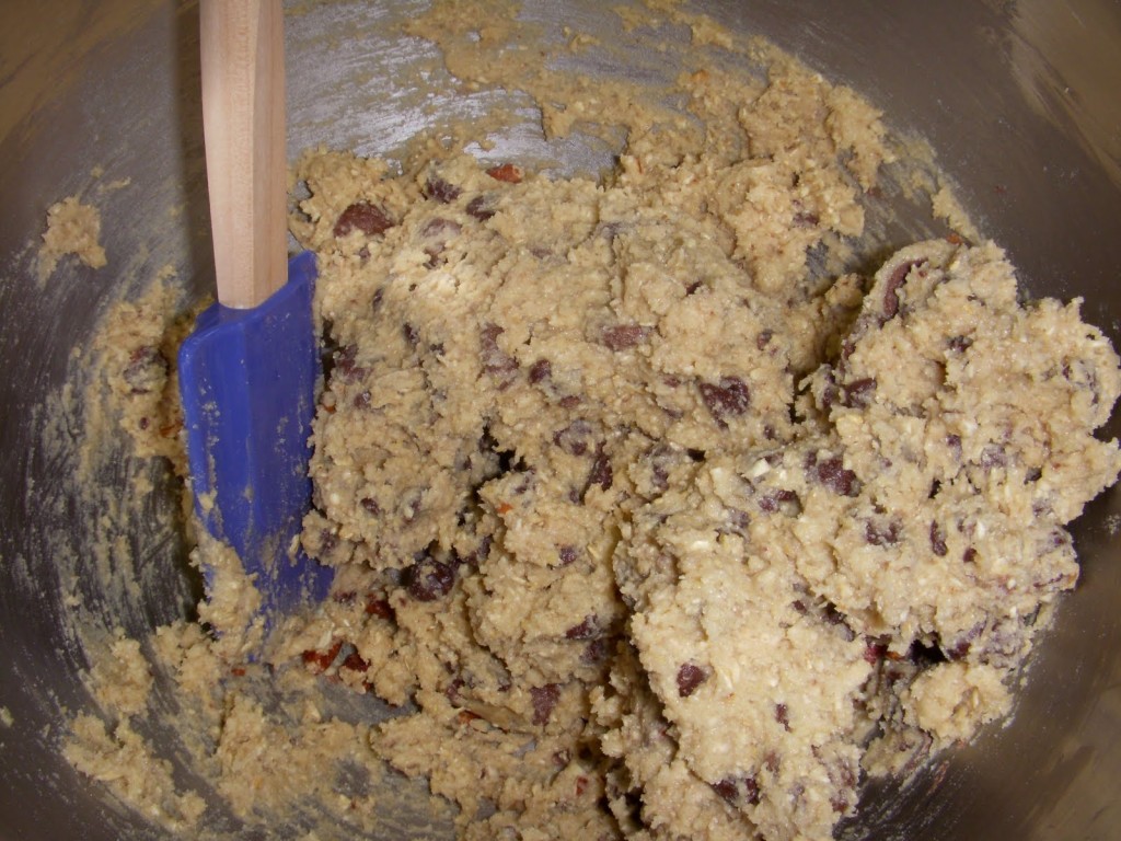 Jolene's Chocolate Oatmeal Cookies