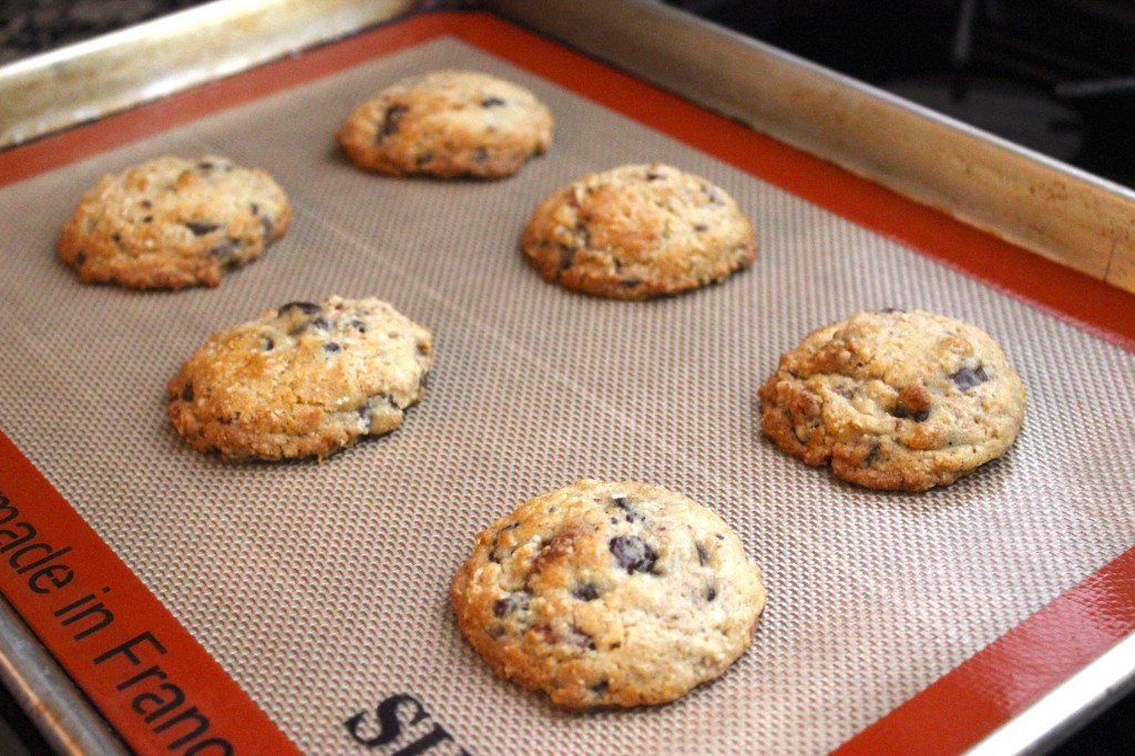 Jolene's Chocolate Oatmeal Cookies