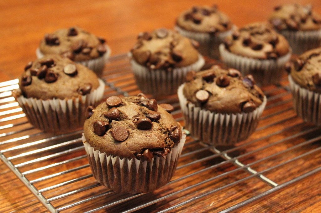 chocolate chip muffin