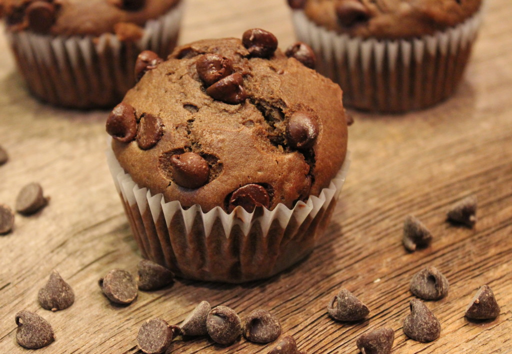 chocolate chip muffin