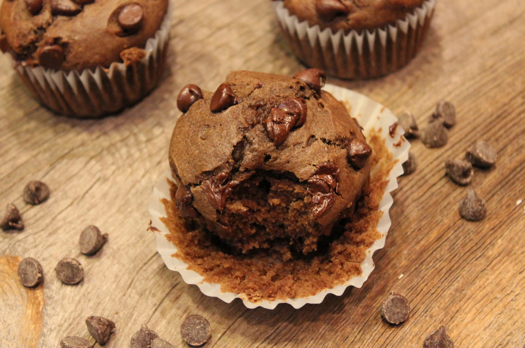 chocolate chip muffin