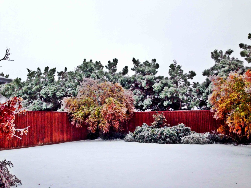 dallas ice storm