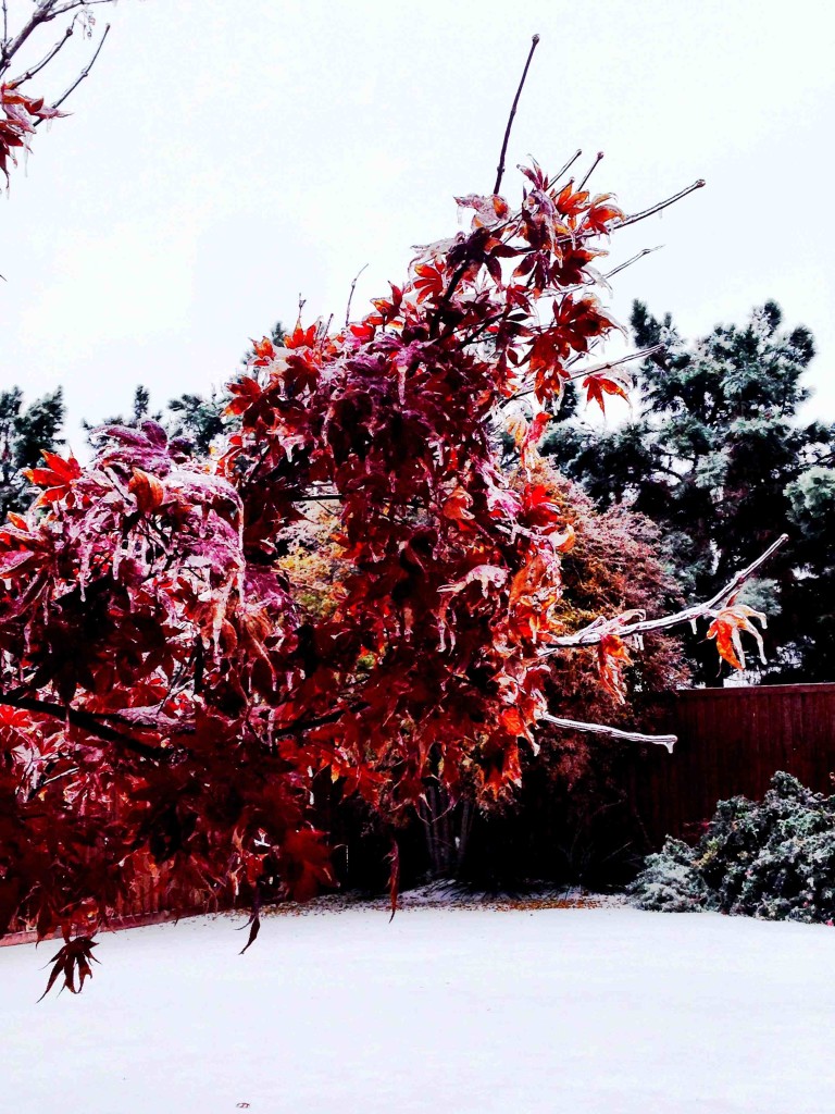 dallas ice storm