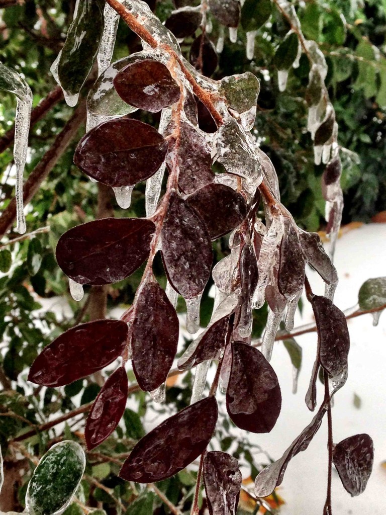 dallas ice storm