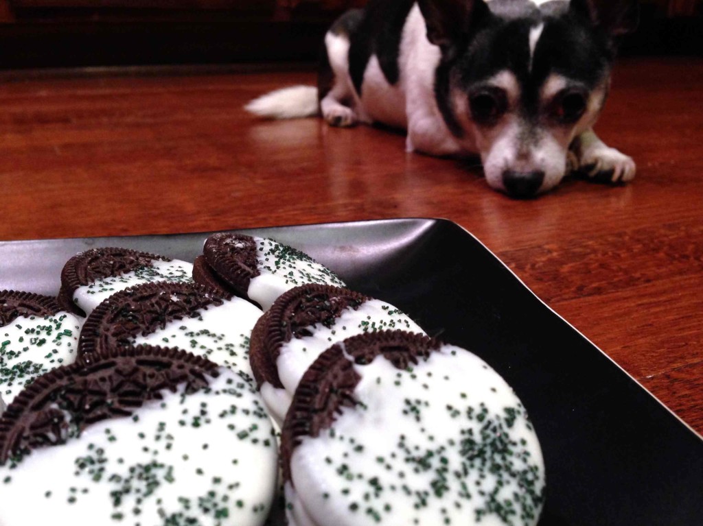 white chocolate dipped Oreos