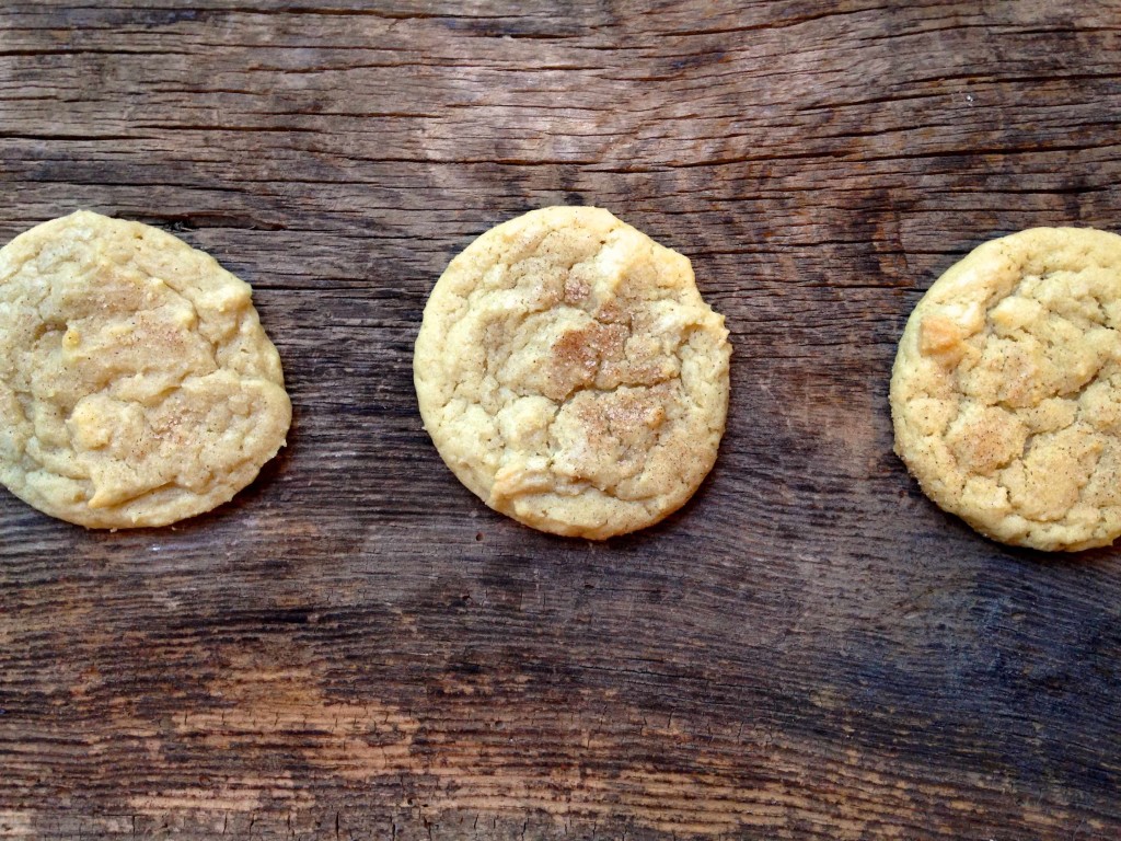 sugar-sugar-doodle cookies cookies