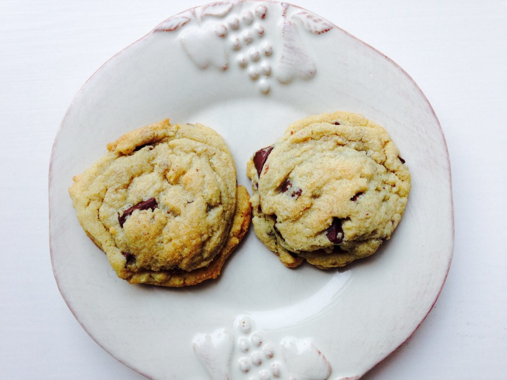 Chocolate Chip Pudding Cookies