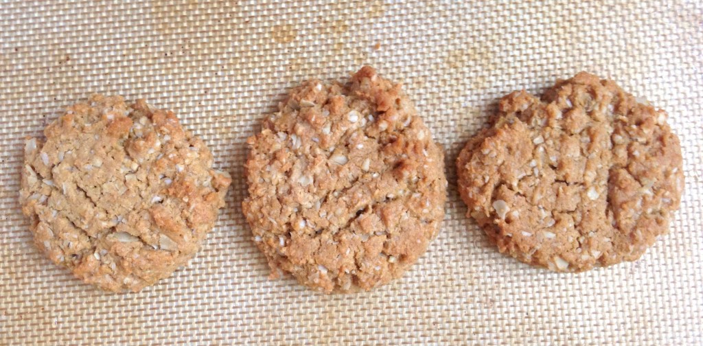 Healthy peanut butter cookies